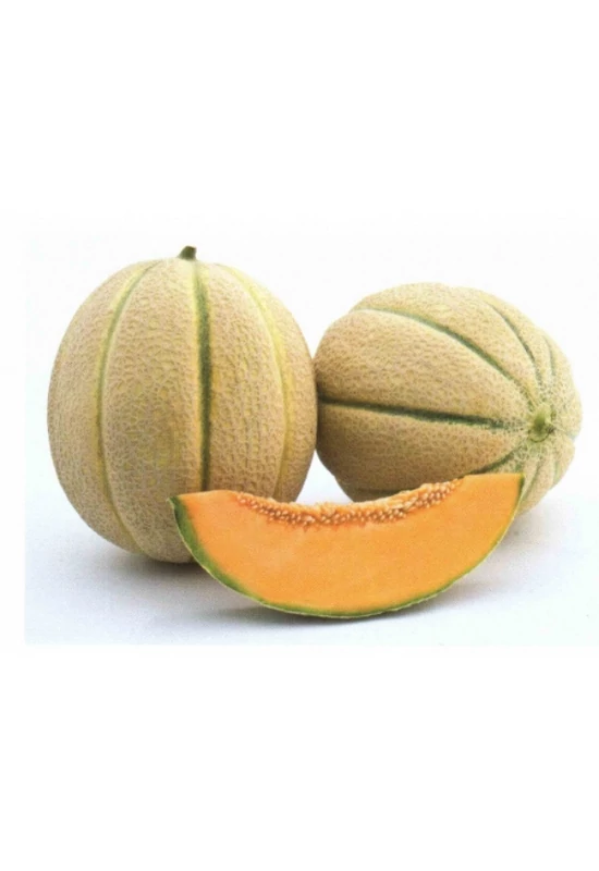 Sárgadinnye 1db (~1,5kg)
